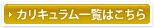 カリキュラム一覧