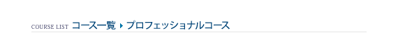 コース一覧 > プロフェッショナルコース